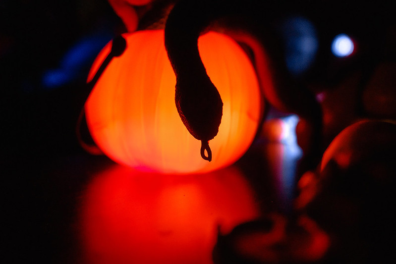 Украшение дома паутиной и летучими мышами к Хэллоуину в Madrid